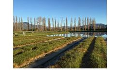 Technology  for Wastewater Lagoon Treatment & Water Resource Recovery