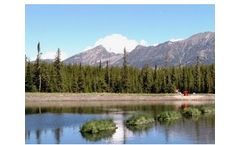 BioDocks - Model BFIs - Floating Islands Mimic Natural Wetlands