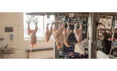 Industrial wastewater solutions for poultry processing sector