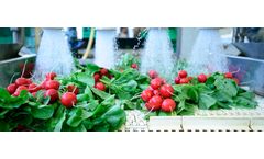 Industrial wastewater solutions for food and beverage processing sector