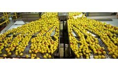 Industrial wastewater solutions for fruits and vegetables processing sector