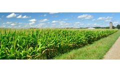 Industrial process solutions for agricultural waste sector