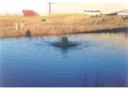 Dagaz Environmental - Liquid Manure / Sewage Management Services