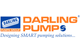 Darling Pumps
