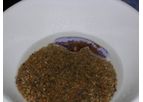 OilScreenDNAPL-LENS (Spray) - Chlorinated Solvents