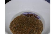 OilScreenDNAPL-LENS (Spray) - Chlorinated Solvents