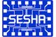 Semiconductor Environmental Health & Safety Association