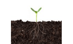 Planting trees and managing soils to sequester carbon