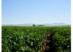 LIVE WEBINAR - Soil Electrical Conductivity: Managing Salts for Sustained High Yields