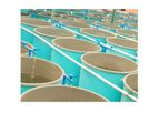 Clear-Cat - Bio-Catalytic Water Clarifier