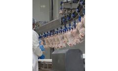Steam Injection for Food and Beverage Processing