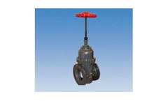 Gate Valve Options