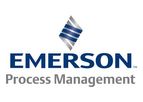 Model 54eA Amperometric
