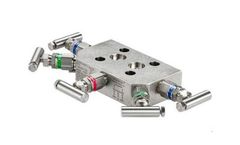 Rosemount - Model 305 - Integral Manifold