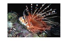 Biodiversity Conservation & Translocation Services