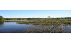 Water Management Services
