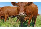 O2Compost - Dairy Waste Composting Services