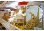 NIWA Invertebrate Collection
