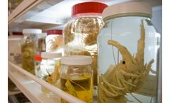 NIWA Invertebrate Collection
