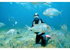Marine Environment Classification Services