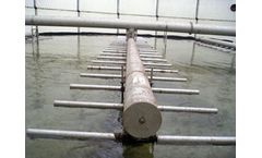 Environmental Analysis