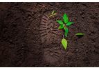 Environmental Footprint Services