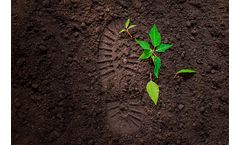 Environmental Footprint Services