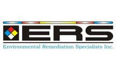 Consulting Services