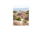 Geophysical Survey and Hydrogeologic Investigation Services