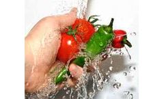 Germans to help with new food zapping process