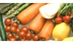 Analytical and measuring instruments of food and beverage industry