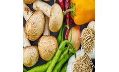 Data loggers and data acquisition monitoring solutions for the food & beverage industries
