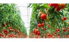 Fully-automated gas chromatographs solutions for greenhouse applications sector