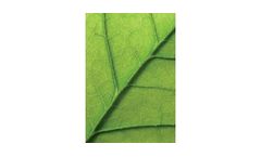 Environmental Engineering