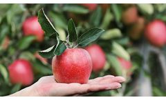 Ceramic membrane solutions for clarification of fruit juice