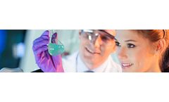 Development Services