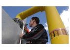 Recurring Inspections