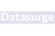 Datasurge