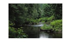 In-Stream Assessment Services