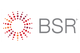 Business for Social Responsibility (BSR)