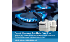 Ultrasonic Gas Meter Brochure (G2.5-G65)