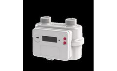 Cubic - Model G2.5/G4 - 2023 Hot Sale Smart Gas Meter Ultrasonic Gas Flow Meter Prepaid Natural Gas Meter G2.5/G4
