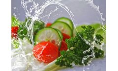 Wastewater management for the vegetable processing industry