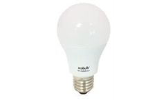Ecobulb - Model 7W E27 LED 3000K - 1821 - Non-Dimmable Globe Bulb