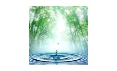 Non-Revenue Water Services