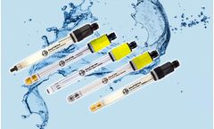 Kuntze - Bare Sensor