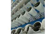 BEL - 8` End Port Vessel