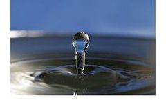 Ammonia Sensors for Water Applications