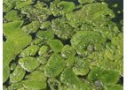 CentraSep - Algae Harvesting and Removal Systems