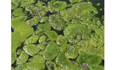 CentraSep - Algae Harvesting and Removal Systems